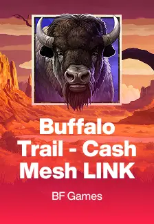 Buffalo Trail - Cash Mesh LINK